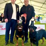 NDS Rogla 30.05.2025 Словения<br>EZZE Unserbund – BOB<br>SYDNEY Valarti FCI – BOS