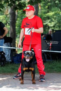 ротвейлер Diadora v.h.Pista